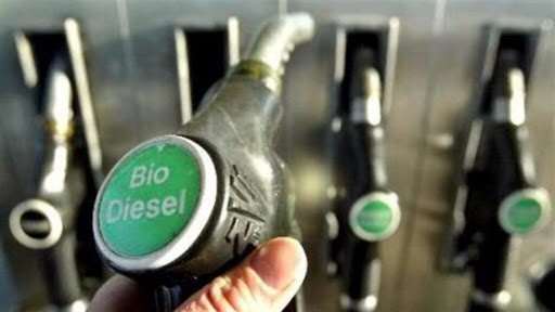 Bolivia apuesta por un combustible más amigable con el medio ambiente (Foto: Internet)