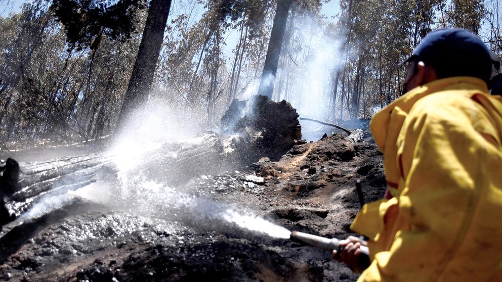 Trabajo de sofocación de un incendio en el Parque Nacional Tunari. DICO SOLÍS