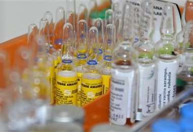 La OMS recomienda la vacuna para prevenir la fiebre amarilla