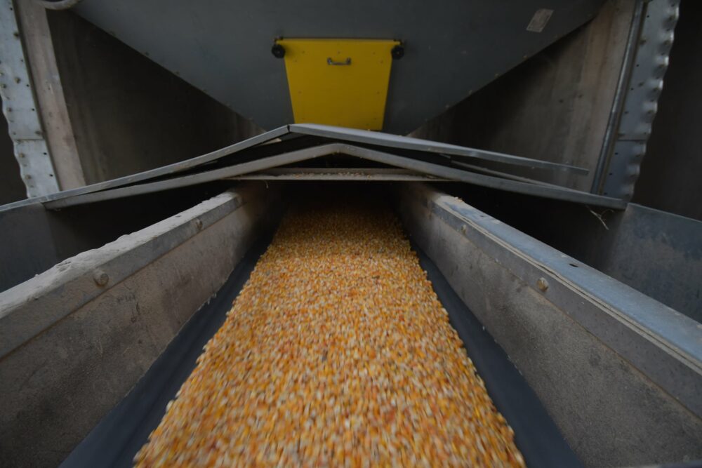 Emapa entrega maíz con normalidad a pecuarios y garantiza la seguridad alimentaria
