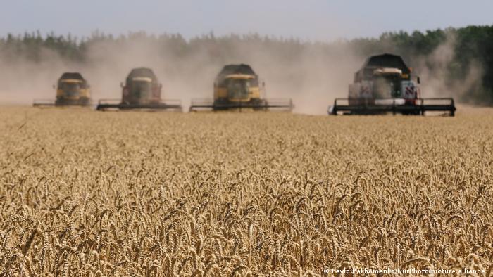 Rusia y Ucrania producen, conjuntamente, alrededor de un tercio del trigo en el mundo. 