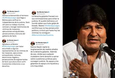 Algunos de los tuits publicados entre febrero y junio de Evo Morales