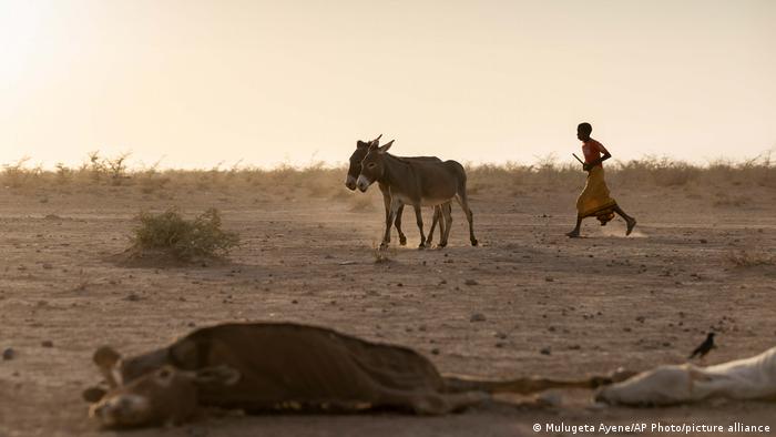 Sequía y terrenos desérticos en Somalia, en el Cuerno de África.