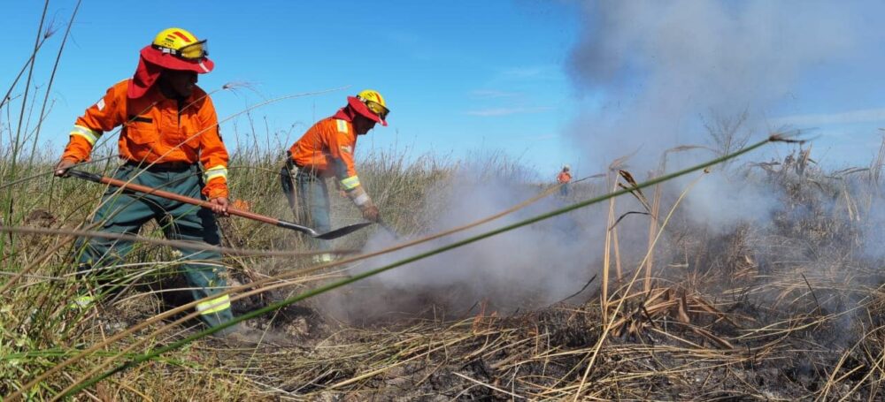 Más de 268 mil hectáreas fueron arrasadas por el fuego en Bolivia 