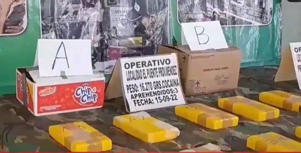 Felcn secuestra más de 50 kilos de sustancias controladas en Tarija