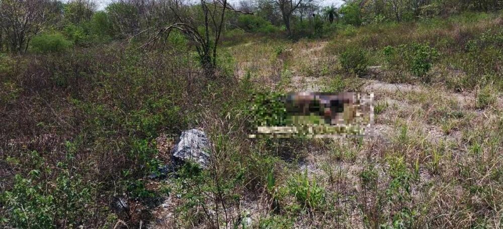 Autopsia revela que el cadáver hallado en Puerto Suárez tiene 12 impactos de bala | El Deber