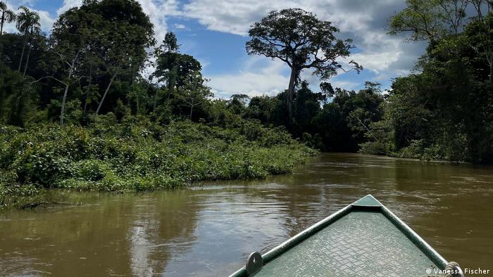 Río Jaci en la selva amazónica.