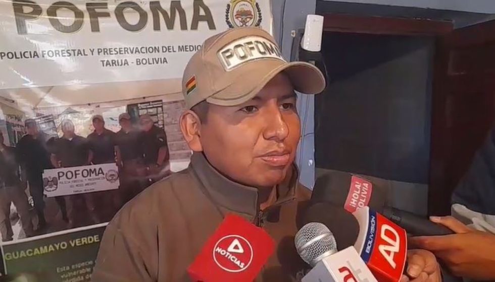 Investigan presunto caso de zoofilia en Tarija