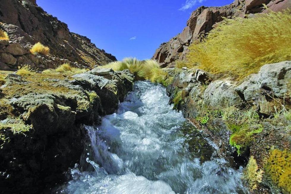 Gobierno debe garantizar defensa de aguas del Silala - El Diario - Bolivia