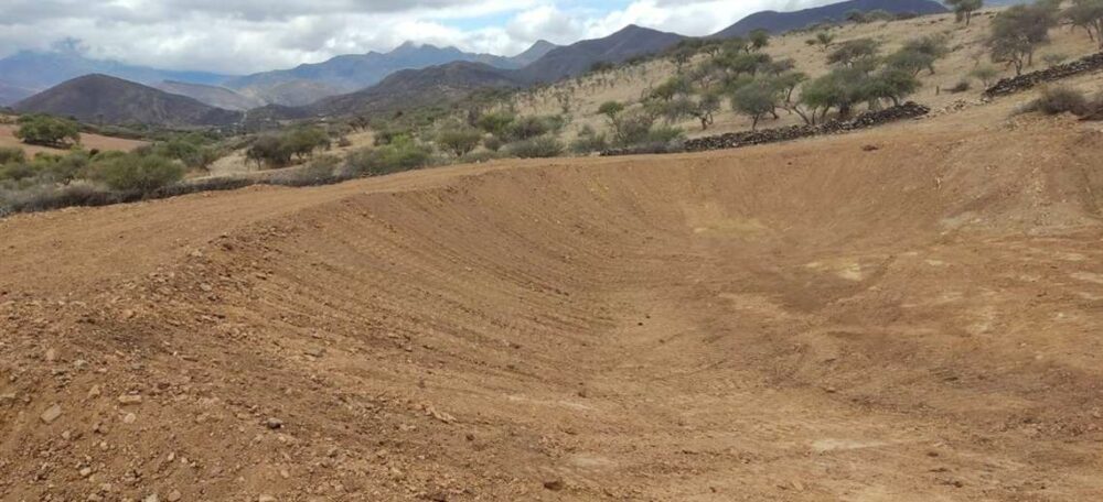 Productores de Tarija advierten escasez de cultivos agrícolas por la sequía | El Deber