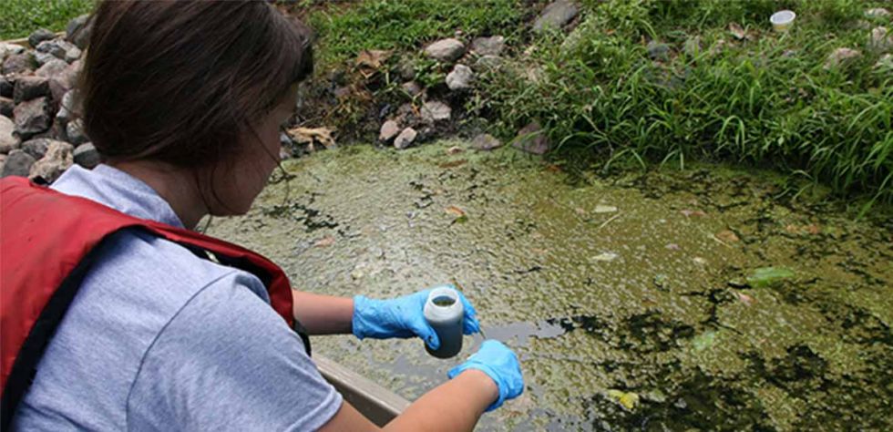Argentina: Detectan cianobacterias en el río Bermejo