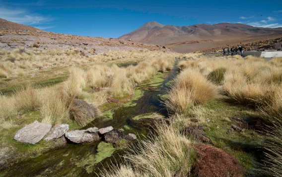 Bolivia apuesta por resolver 17 problemas de aguas transfronterizas con Chile tras el caso Silala