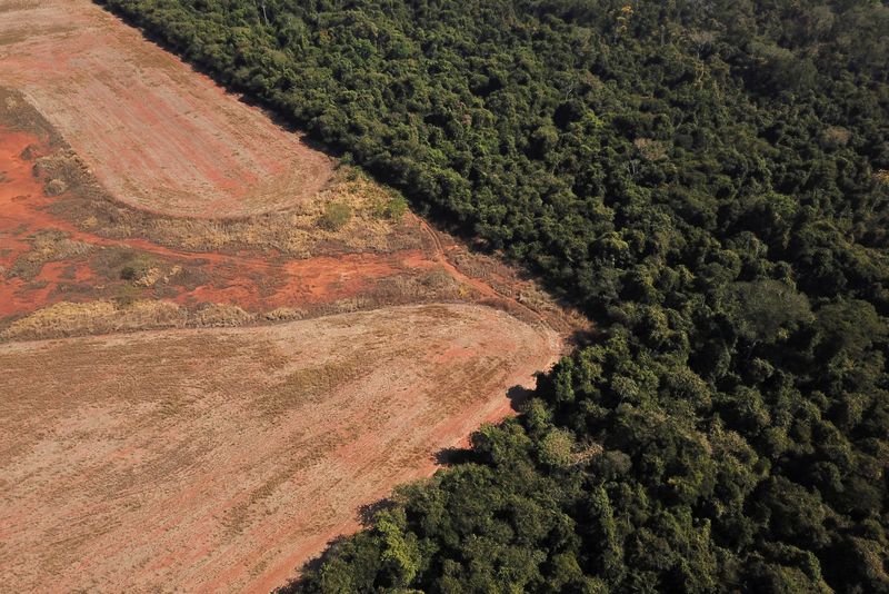 Una vista aérea muestra la deforestación cerca de un bosque en la frontera entre la Amazonia y el Cerrado en Nova Xavantina, estado de Mato Grosso, Brasil (REUTERS/Amanda Perobelli/Archivo)