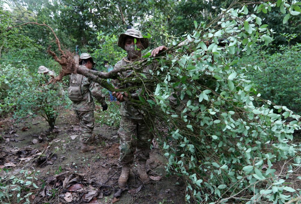 Soldados de la Fuerza de Tarea conjunta realizan tareas de erradicación de hoja de coca, en Chimoré, en la región tropical del departamento de Cochabamba, Bolivia. EFE/Martin Alipaz/Archivo 