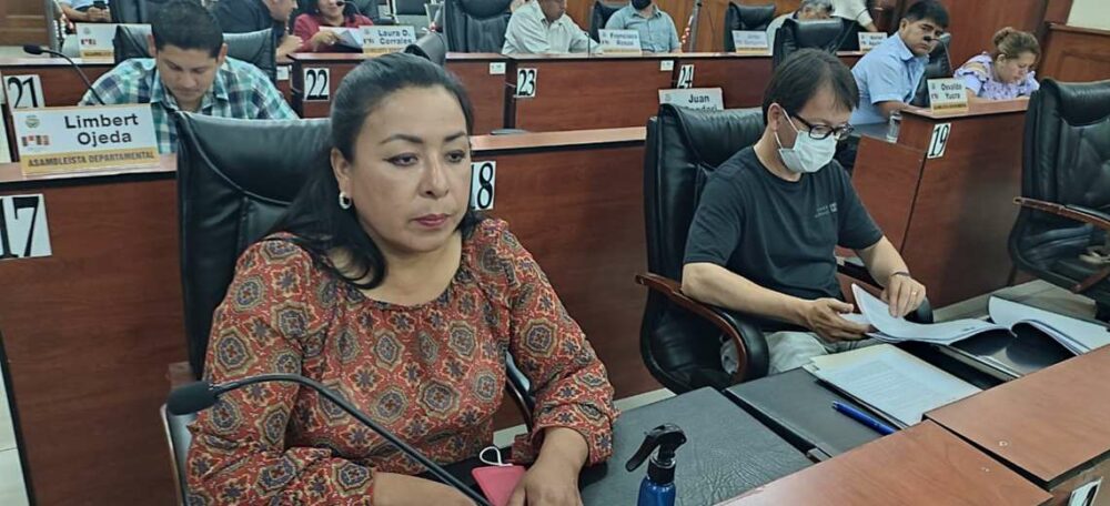 Tarija constituirá Comité Interinstitucional con miras al censo del 2024 | El Deber