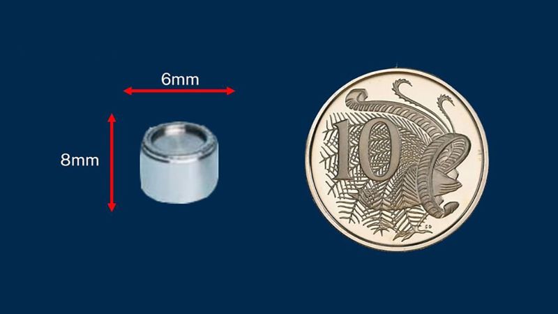 La imagen distribuida por la Agencia de Salud de Australia Occidental compara el tamaño de la cápsula con el de una moneda