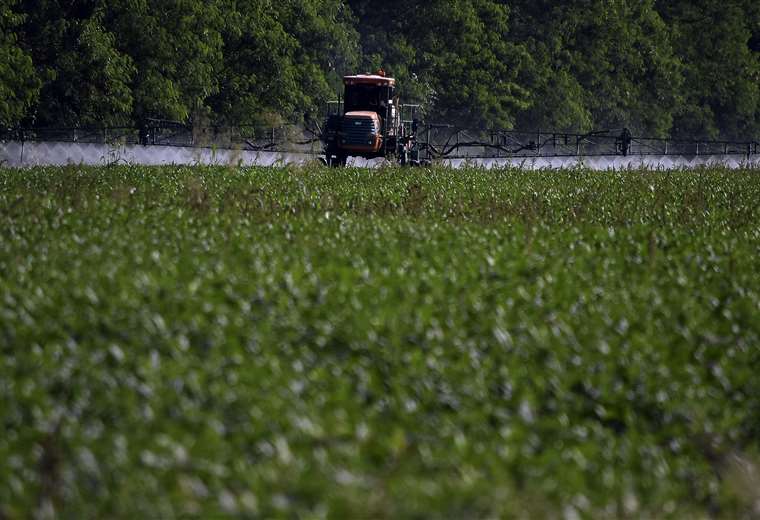 Agropecuarios advierten que escasez de divisas impactará en la producción  de alimentos | El Deber