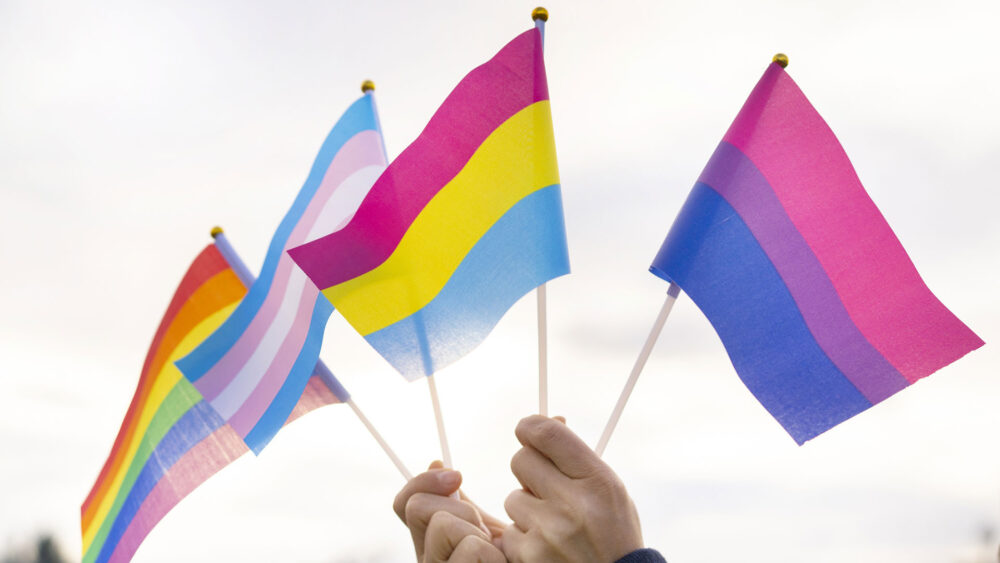 Los colores de la bandera del Orgullo Pansexual son tonos variados como magenta/rosa, azul, y amarillo. Procura mostrar la inclusión (Getty)