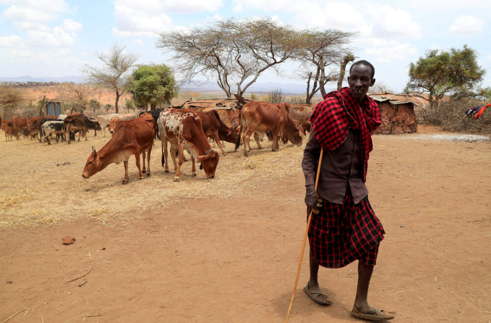 FOTO DE ARCHIVO: Ngagati Namaiduk junto a su demacrado ganado (REUTERS/Thomas Mukoya)