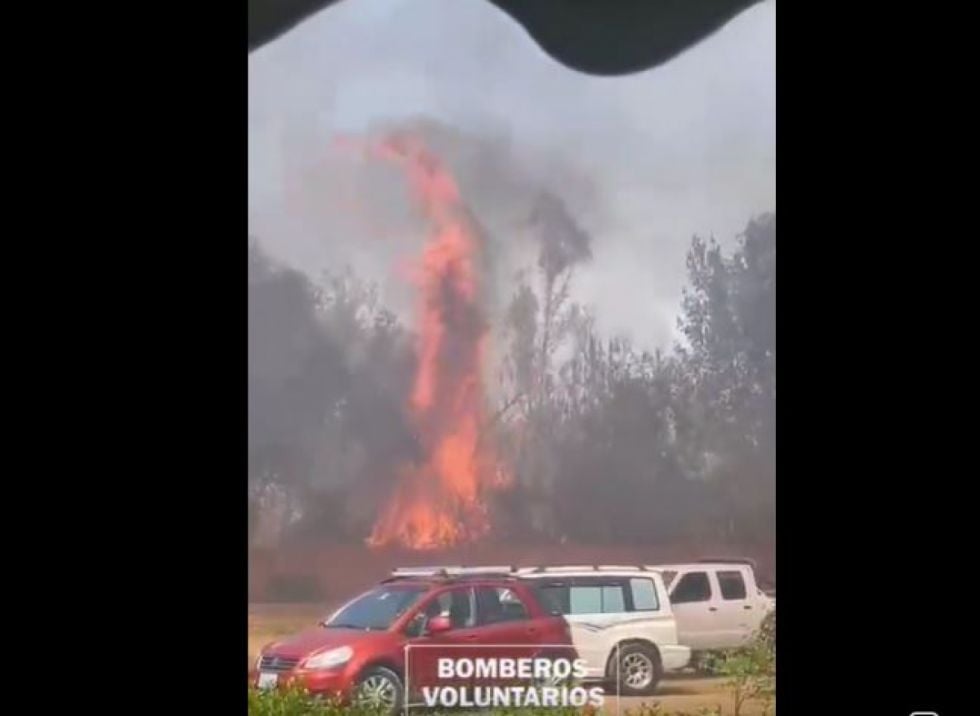 Incendio de magnitud en Tomatitas generó alarma y movilizó a policía y bomberos de Tarija