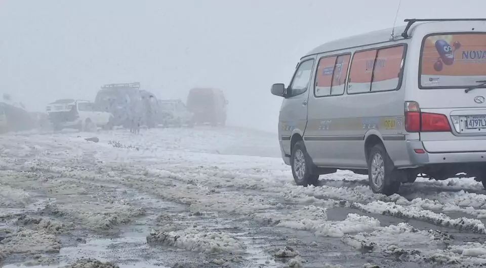 nevadas