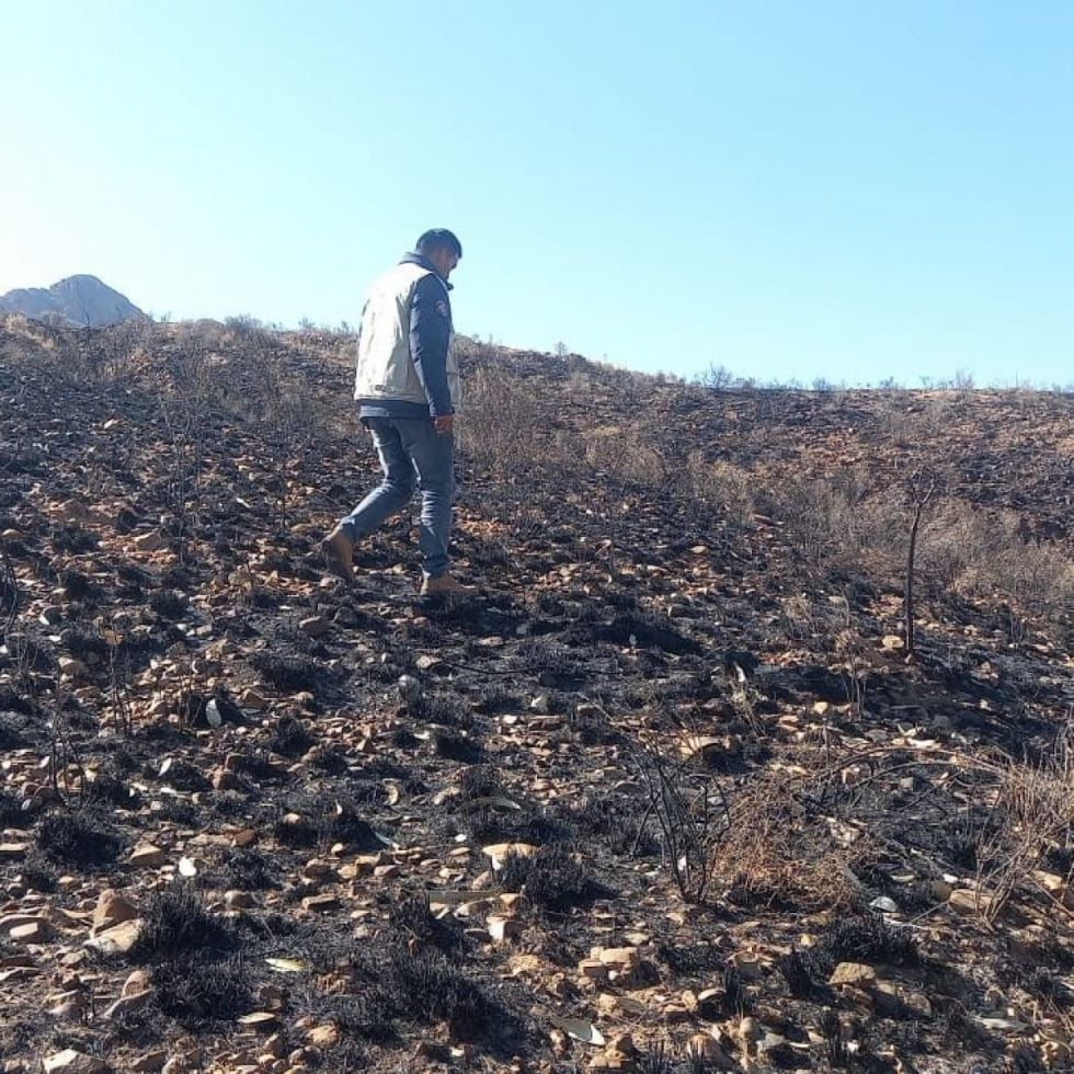 ABT registra 20 focos de calor en el departamento de Tarija