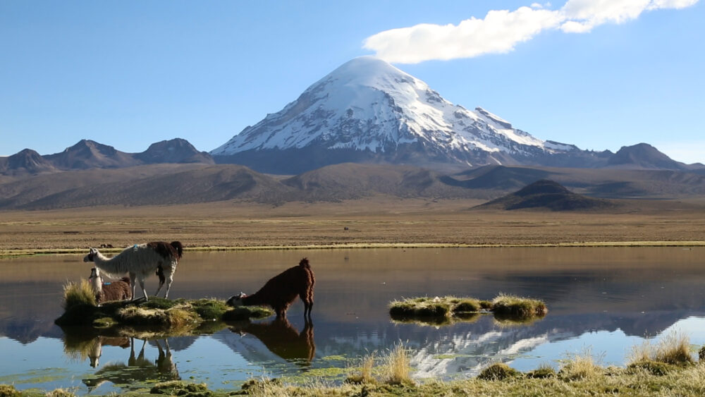 Bolivia recibió a 700.000 turistas y generó un movimiento de $us 430 millones a julio