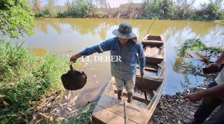 Técnicos de la Gobernación investigan mortandad de peces en Yapacaní/Foto: Soledad Prado