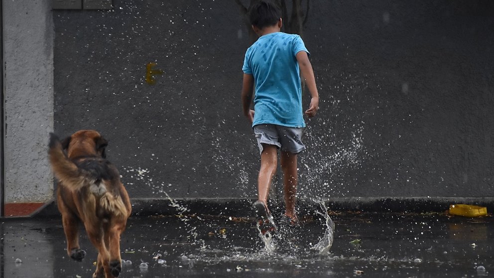 Un niño y un perro se refrescan con la lluvia de este 21 de noviembre. DICO SOLÍS