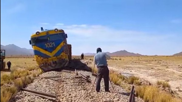 El tren quedó a un lado de la vía. Foto: Captura