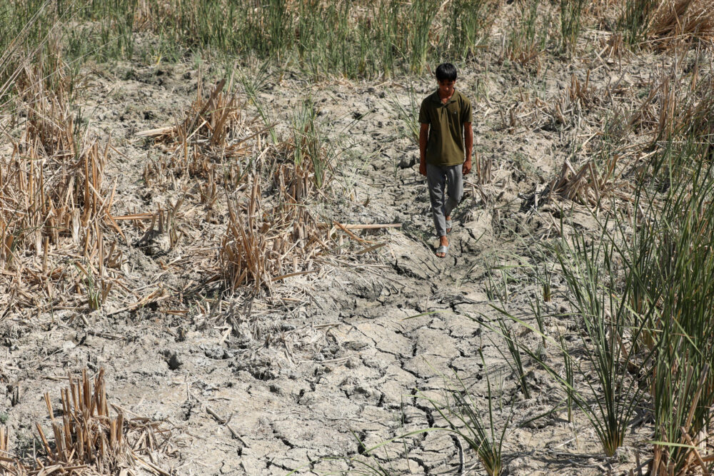 Un joven camina por una zona seca en las marismas de Chibayish, en la provincia iraquí de Dhi Qar, el 24 de junio de 2023