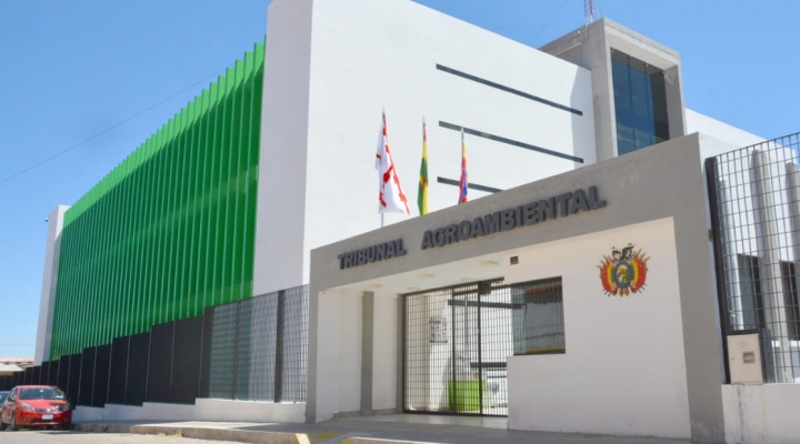 Anuncian que dos magistradas del Tribunal Agroambiental renuncian, en medio de la crisis por la autoprórroga