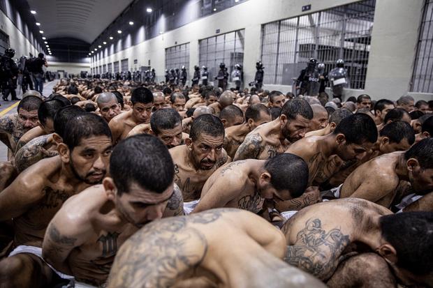 La segunda llegada de reclusos pertenecientes a las pandillas MS-13 y 18 a la nueva prisión "Centro de Internamiento de Terroristas" (CECOT) en Tecoluca, 74 km al sureste de San Salvador, el 15 de marzo. 2023. (Foto de Prensa de El Salvador / AFP)