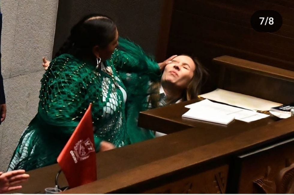 Así quedó la diputada Mayra Zalles tras la agresión en la Asamblea Así quedó la diputada Mayra Zalles tras la agresión en la Asamblea