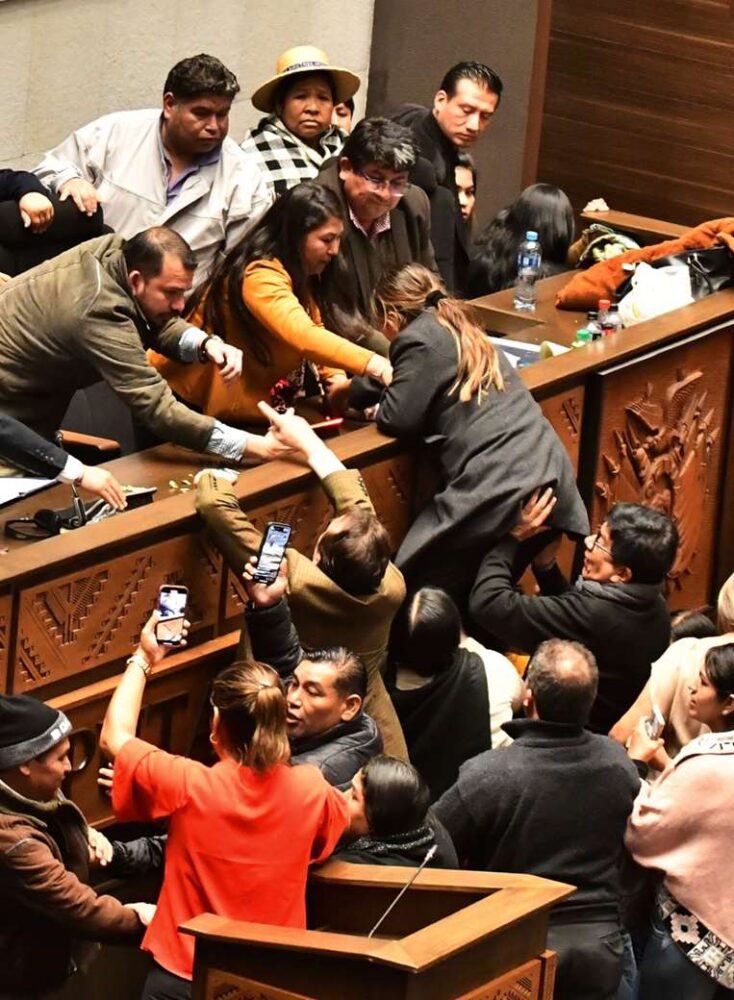 La violencia y el bochorno marcan la sesión en la Cámara de Diputados