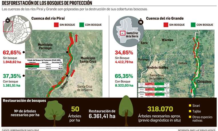 Deforestación de los bosques de protección