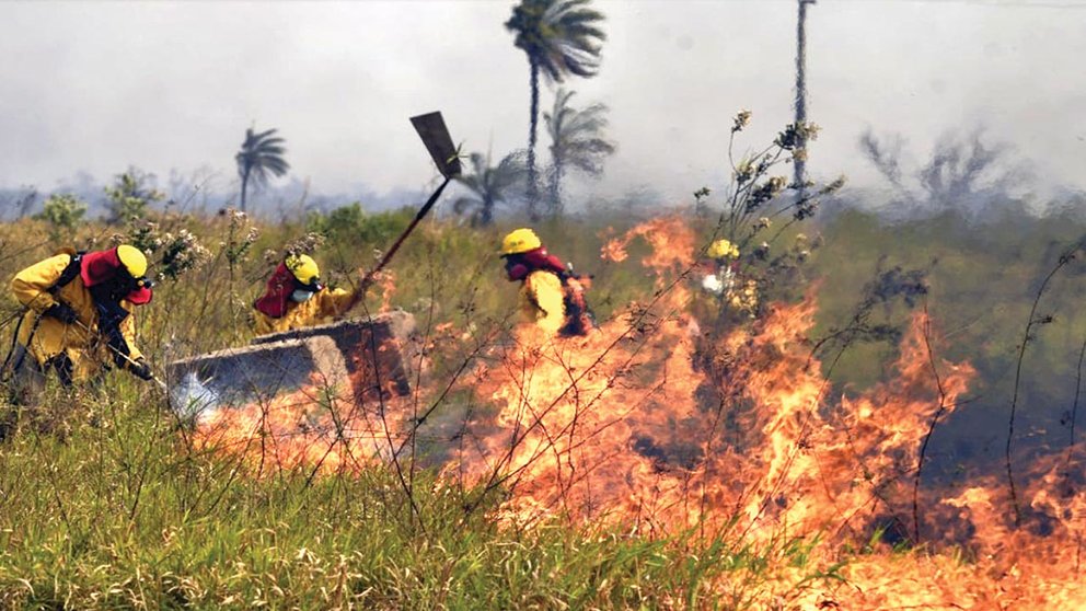 Una fotografía de archivo muestra a bomberos forestales que combaten un incendio./ ABI