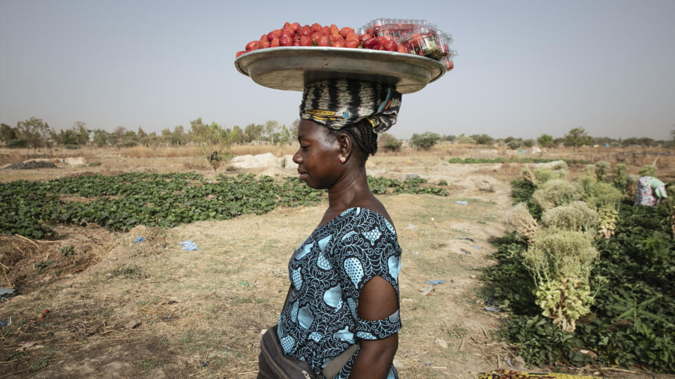 Una vendedora lleva una bandeja de fresas en la cabeza, el 28 de marzo de 2024 en Uagadugú, la capital de Burkina Faso
