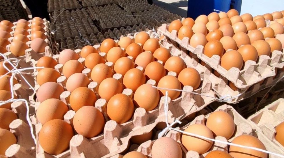 Apuntan a intermediarios por el aumento del precio del huevo