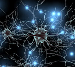Redes neuronales: quizá no tan cerca del cerebro humano | Ignacio G.R. Gavilán