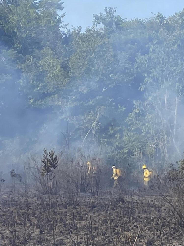 Foto publicada por el Instituto Chico Mendes para la Conservación de la Biodiversidad el 29 de febrero de 2024, muestra a bomberos trabajando en el área del Bosque Nacional de Roraima por un incendio de varios días en Alto Alegre, estado de Roraima, norte de Brasil.