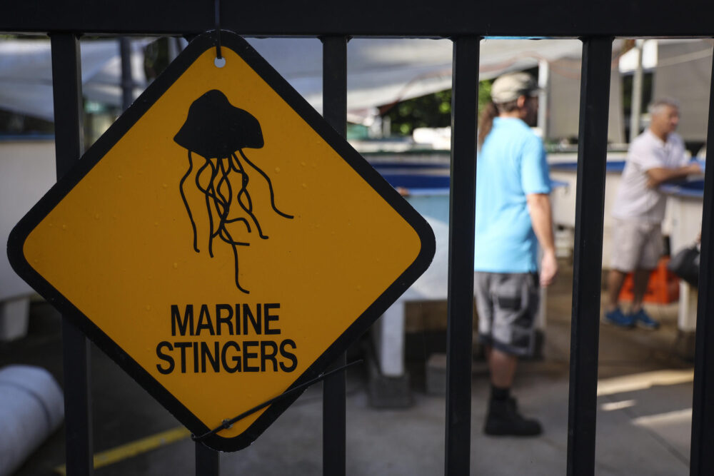 Una señal advierte del peligro de animales marinos venenosos en el recinto de trabajo del toxicólogo Jamie Seymour en la ciudad de Cairns el 8 de abril de 2024