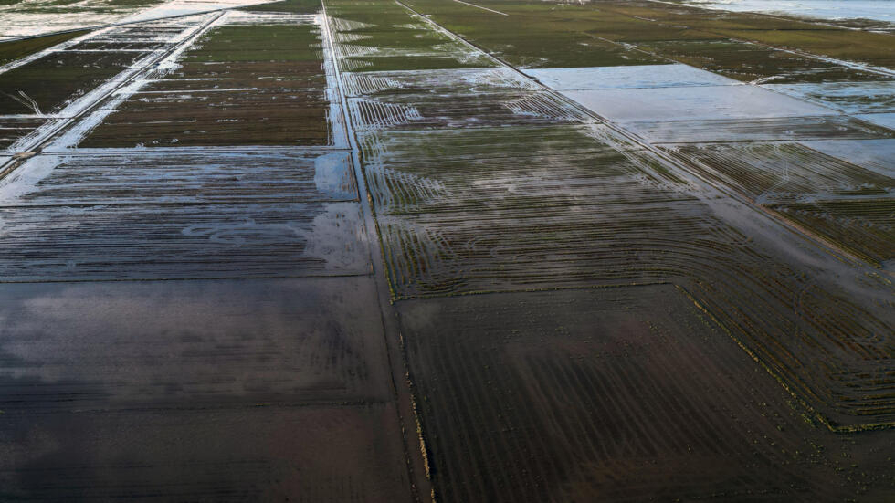 Vista áerea de plantaciones de arroz dañadas por las inundaciones en Eldorado do Sul, Rio Grande do Sul, Brasil, el 9 de mayo de 2024