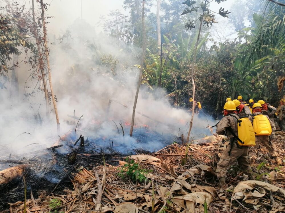 Medio Ambiente no reporta incendios activos en el país