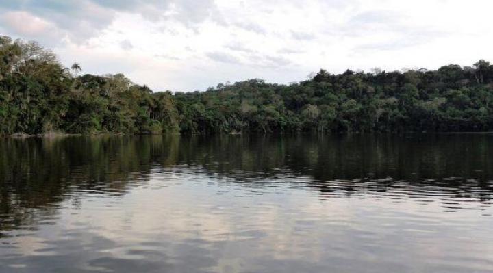 Tratado para el ciclo del agua, seguridad jurídica para los bosques y otras alternativas son planteadas para frenar la depredación amazónica