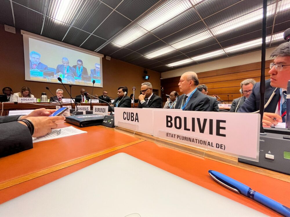 Bolivia aboga por el acceso universal e integral a la salud en asamblea de la OMS en Ginebra