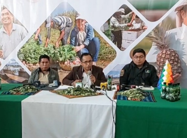 Revelan que en el mercado legal de coca de Villa Fátima comercializan coca peruana
