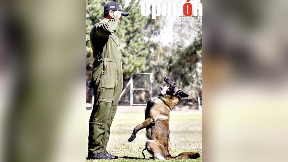 Iker, can entrenado en la lucha contra el narcotráfico, junto a su instructor durante una de sus jornadas de preparación. / DICO SOLÍS