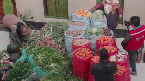Productores agrícolas de luribay donan verduras al brazo social de el Alto