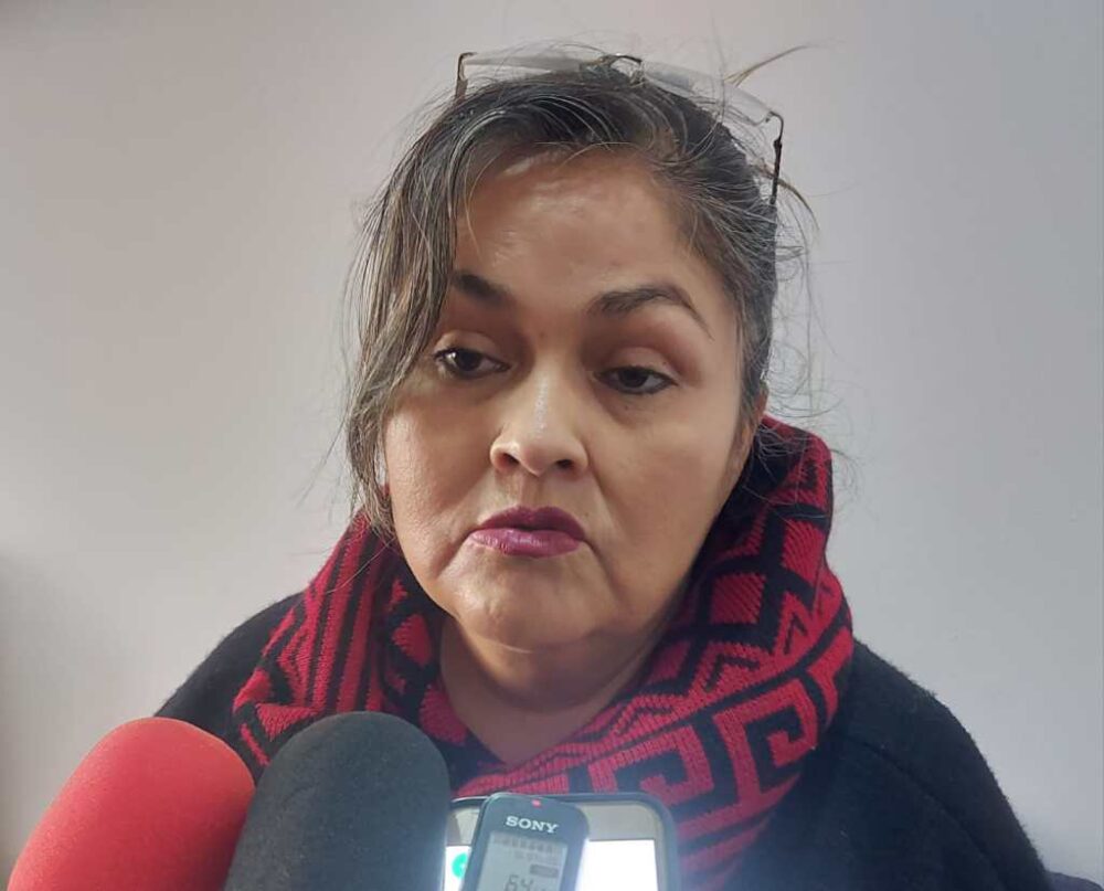 Vicepresidente de la brigada parlamentaria, Esther Sánchez.